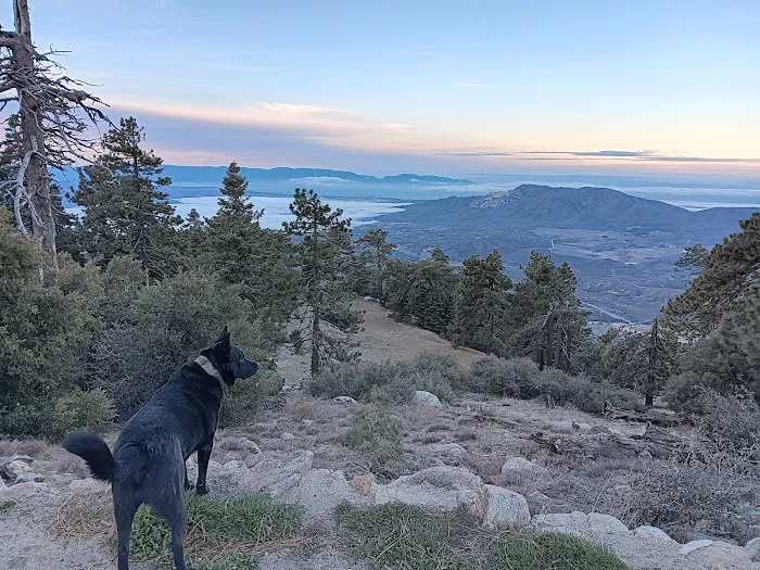 Thomas Mountain Campground 7