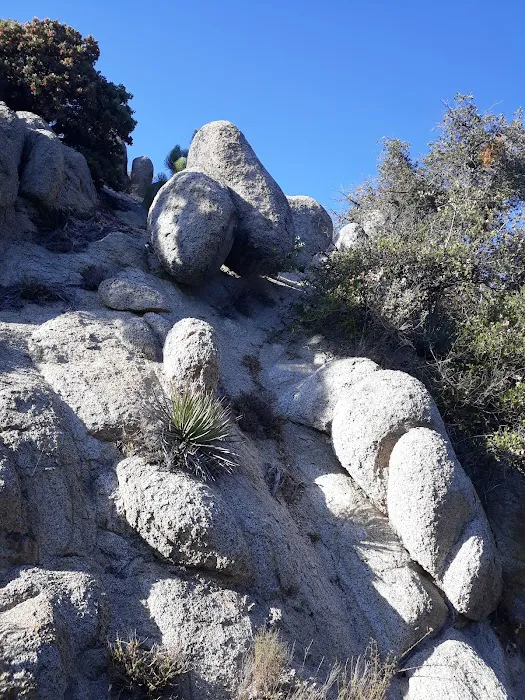 Thomas Mountain Campground 8