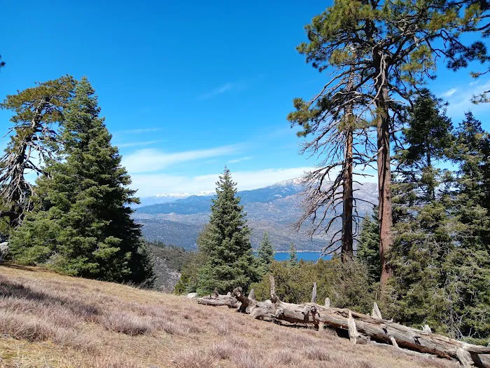 Thomas Mountain Campground 9