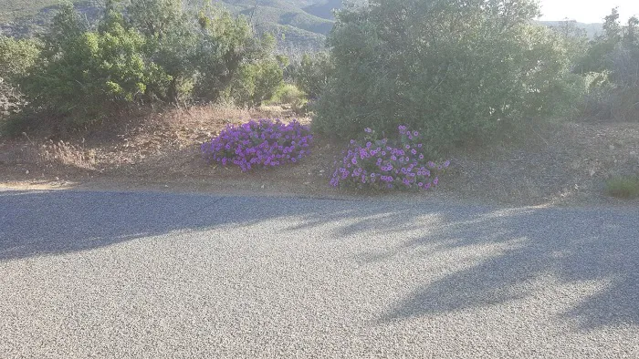 Ribbonwood Equestrian Campground 8