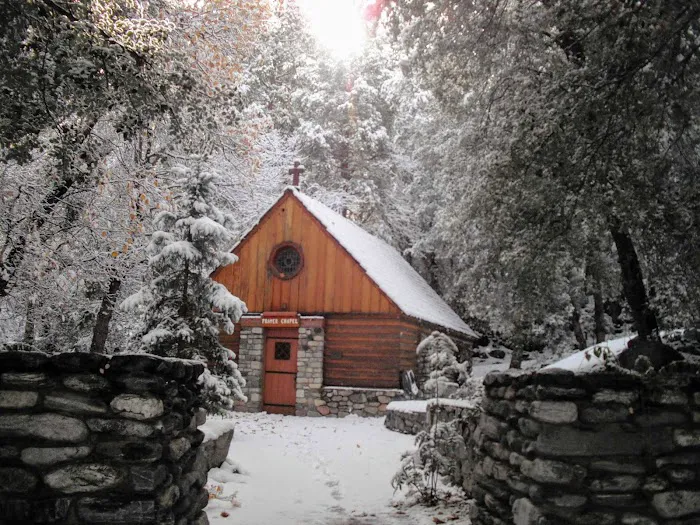 Forest Home 4
