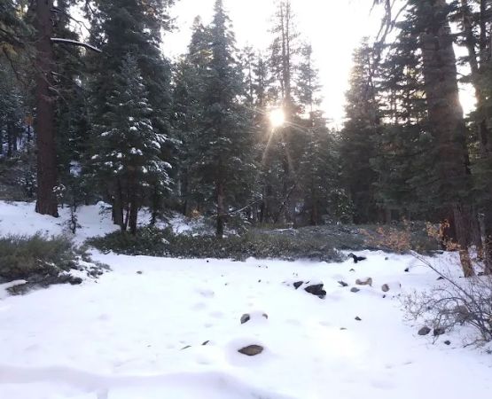 Halfway Camp