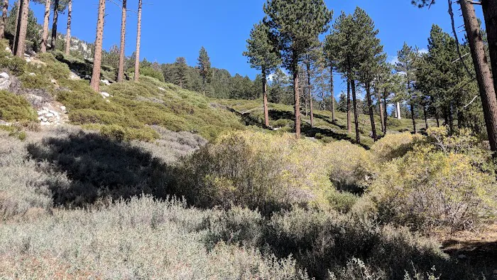 Halfway Camp 3