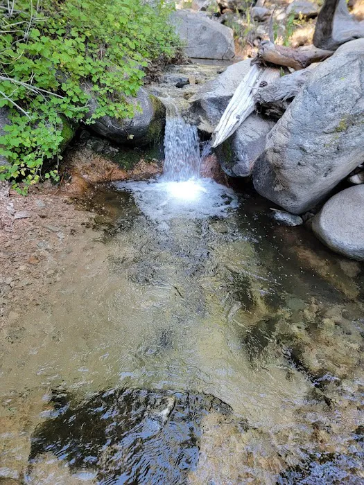Forestry Department 7