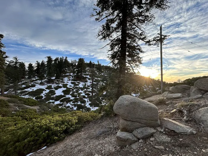 Keller Peak Yellow Post Site #9 4