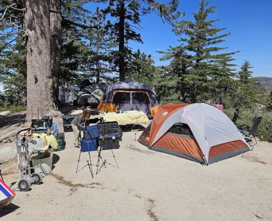 Keller Peak Yellow Post Site #9