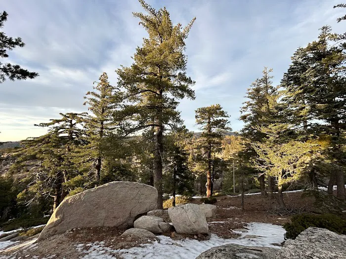Keller Peak Yellow Post Site #9 5