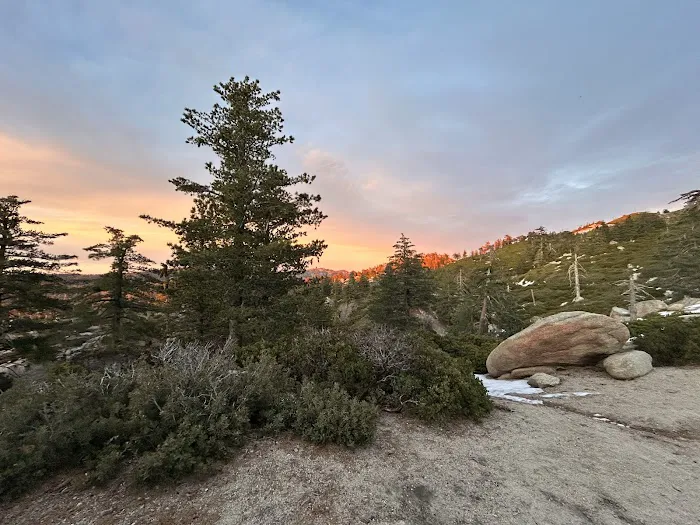 Keller Peak Yellow Post Site #9 3