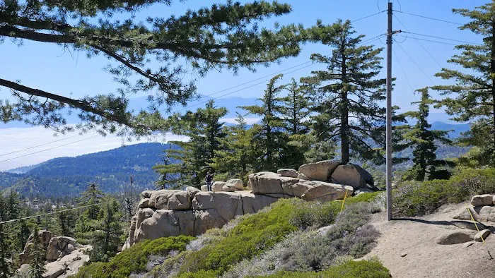 Keller Peak Yellow Post Site #9 1
