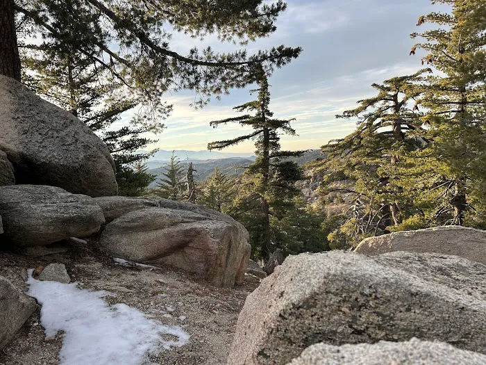 Keller Peak Yellow Post Site #9 9