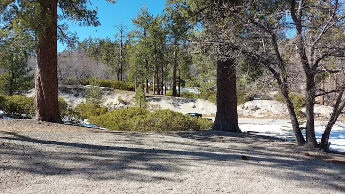 Keller Peak Yellow Post Site #2 8