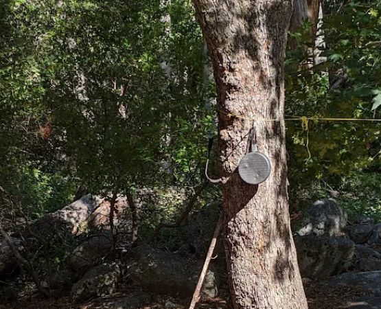 Siberia Creek Campground