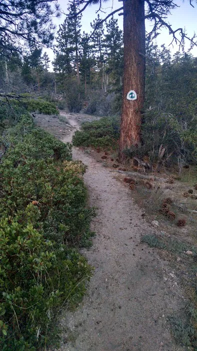 Mission Springs PCT Trail Camp 3
