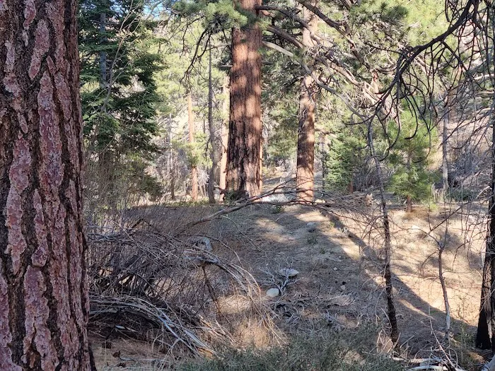Mission Springs PCT Trail Camp 4