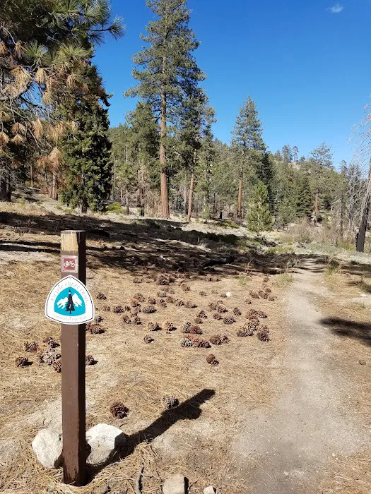 Mission Springs PCT Trail Camp 8