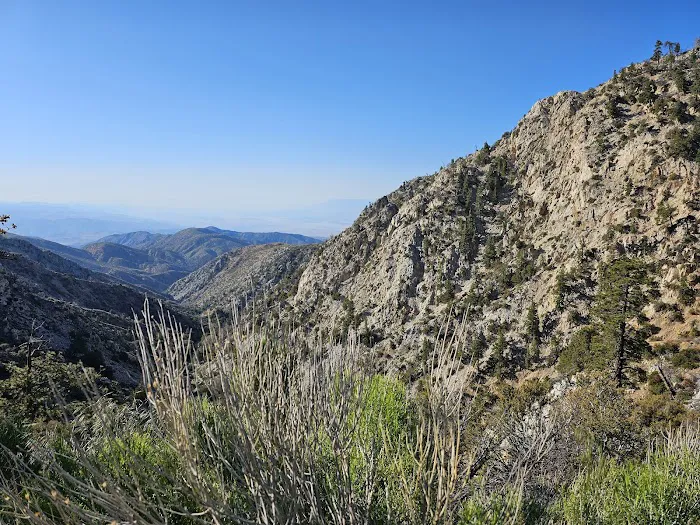 Coon Creek Yellow Post Sites 5