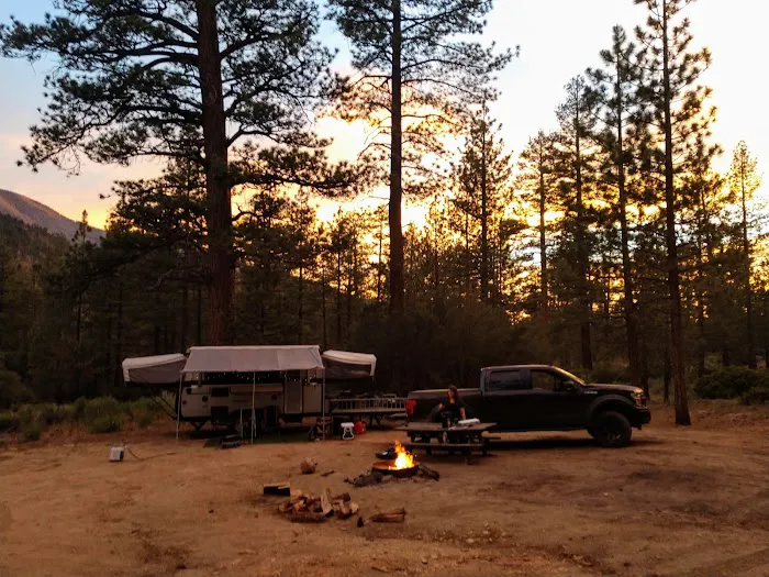 Coon Creek Yellow Post Sites 2