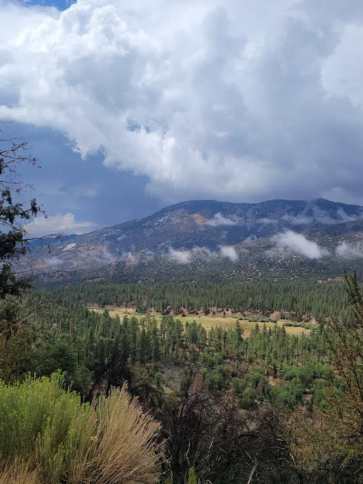 Coon Creek Yellow Post Sites 7