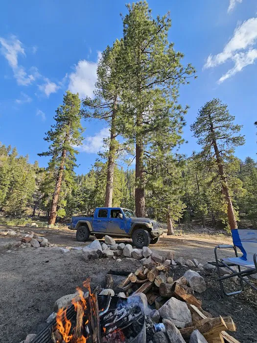 Coon Creek Yellow Post Sites 8
