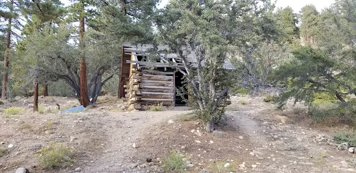 Wild Horse Equestrian Camp 3