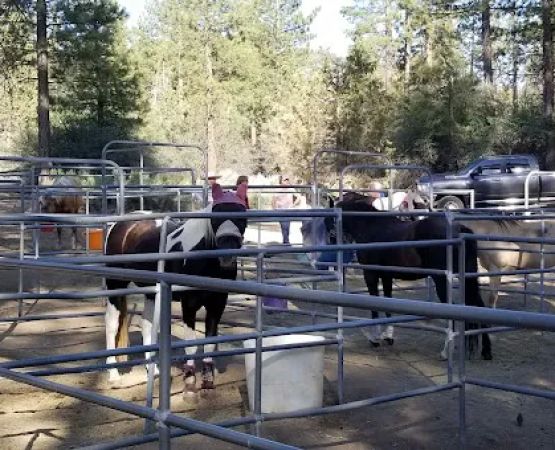 Heart Bar Equestrian Group Campground