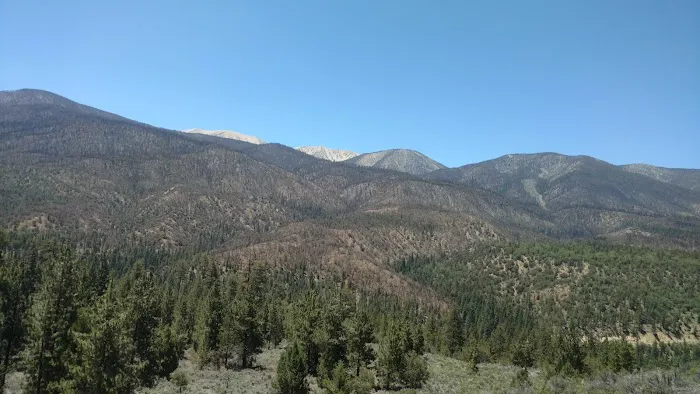 Heart Bar Equestrian Group Campground 7