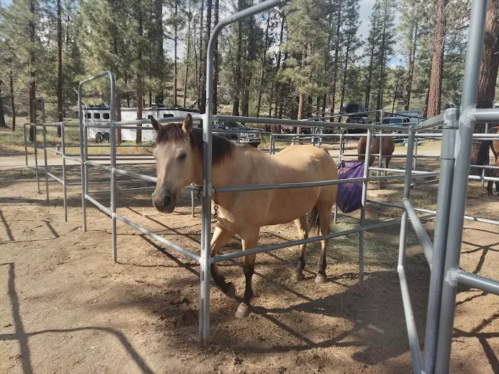 Heart Bar Equestrian Group Campground 6