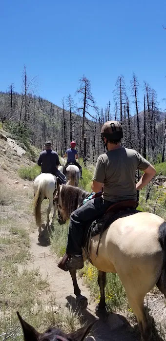 Heart Bar Equestrian Group Campground 1