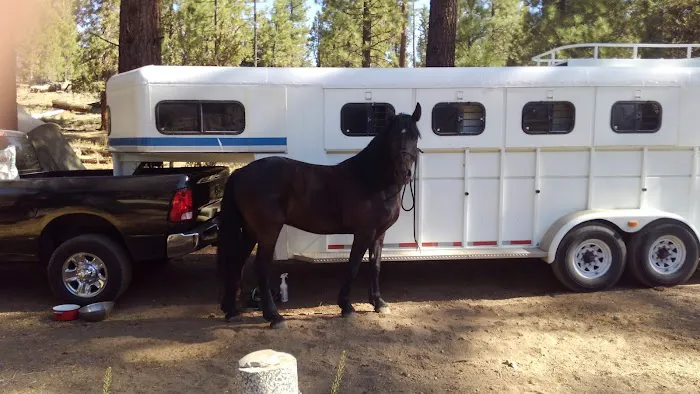 Heart Bar Equestrian Group Campground 3
