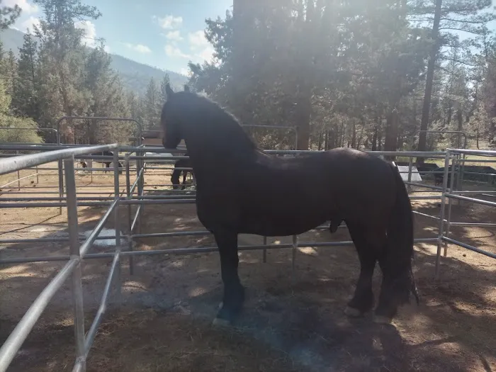 Heart Bar Equestrian Group Campground 4