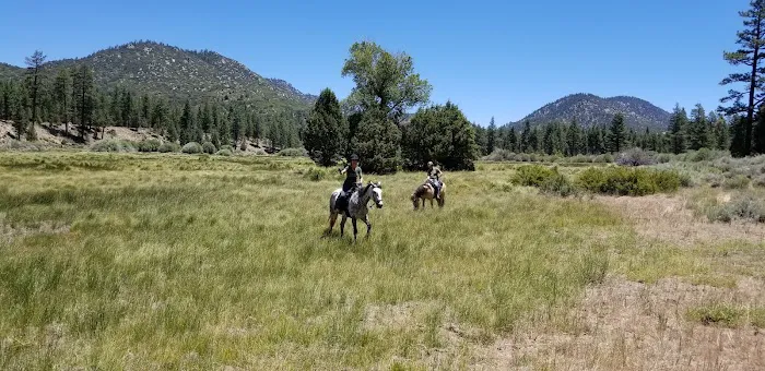Heart Bar Equestrian Group Campground 2