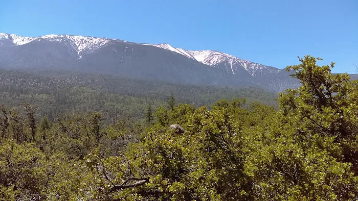 Camp Sky Meadows 1