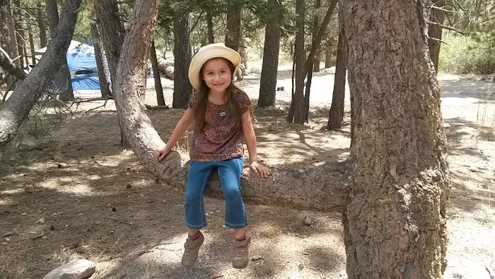 Council Group Campground 3