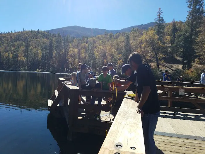 Council Group Campground 9