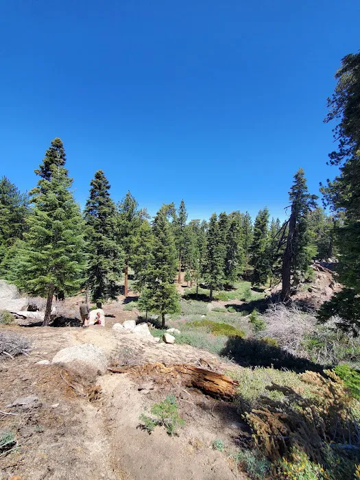 Deer Group Campground 1