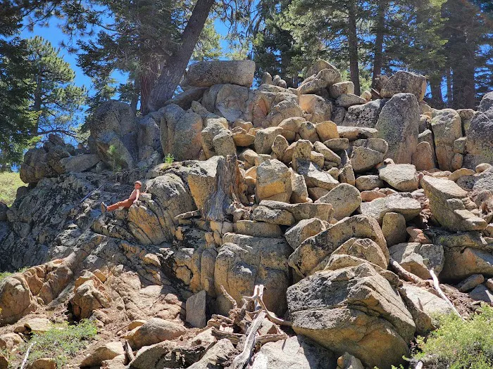 Deer Group Campground 7