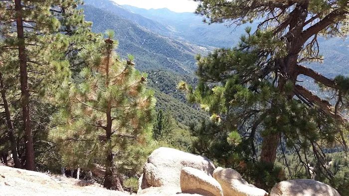 Deer Group Campground 2