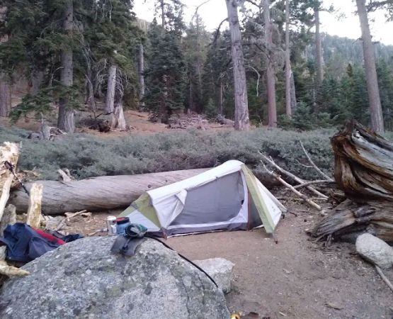 John's Meadow Camp