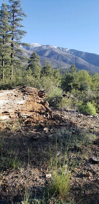 Lobo Group Campground 1