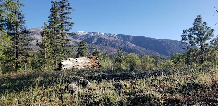 Lobo Group Campground 0