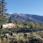 Lobo Group Campground