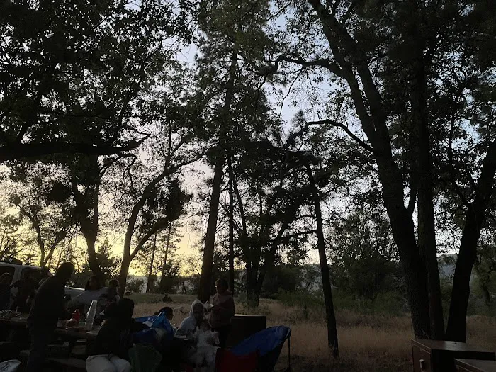 Lobo Group Campground 8