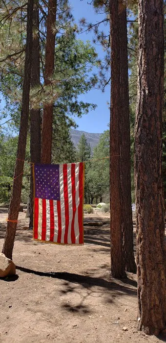 Lobo Group Campground 2