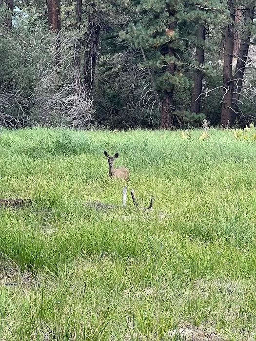 Boulder Group Campground 6