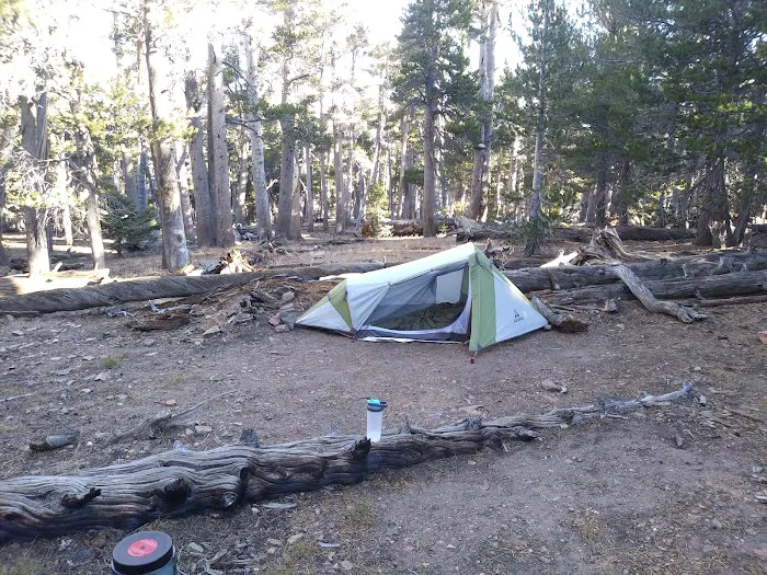 Jackstraw Springs 1