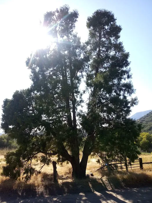 Clark's Ranch Yellow Post Site 1