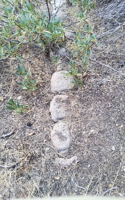 Clark's Ranch Yellow Post Site 5