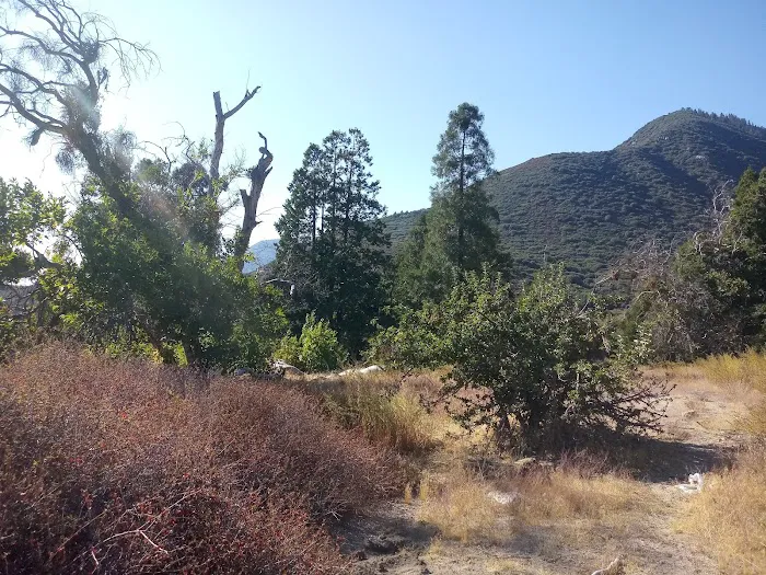 Clark's Ranch Yellow Post Site 2