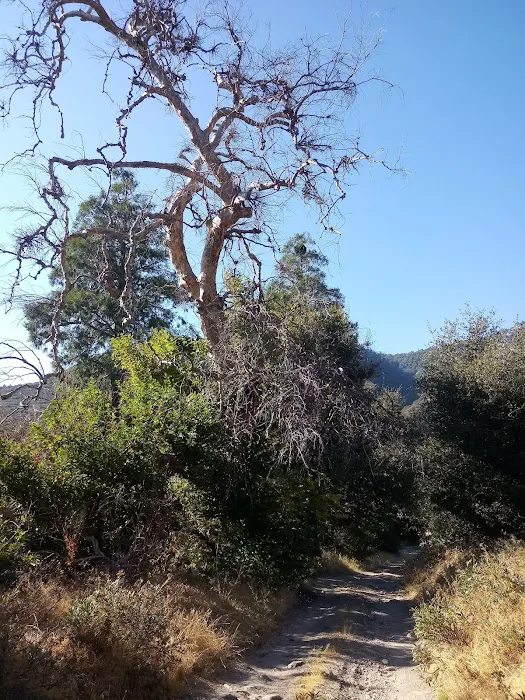 Clark's Ranch Yellow Post Site 9