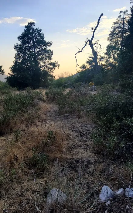 Clark's Ranch Yellow Post Site 7
